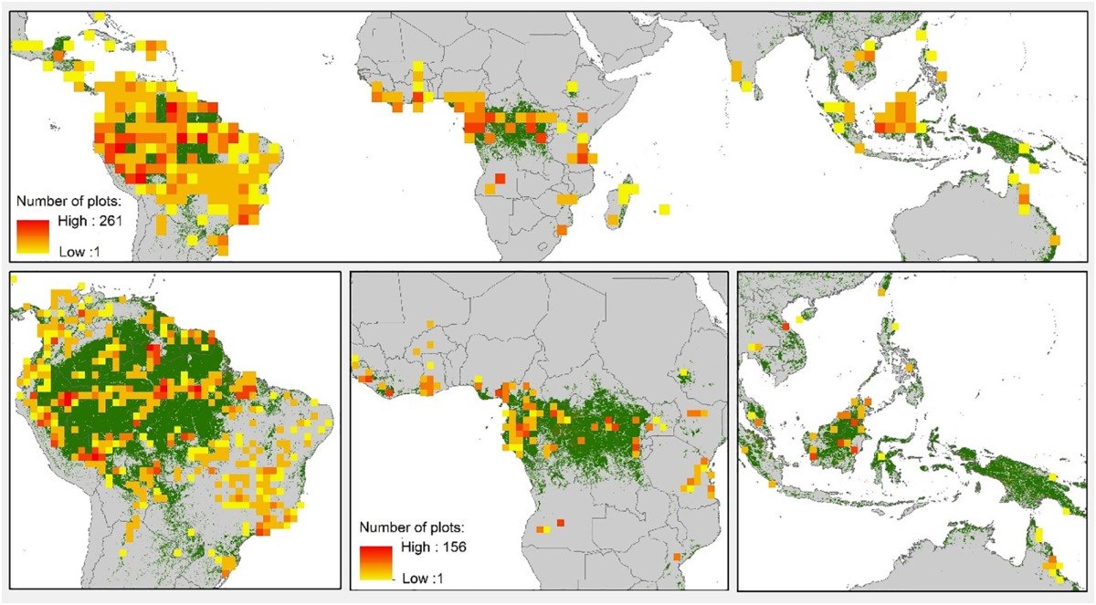 Taking the pulse of Earth’s tropical forests using networks of highly distributed plots