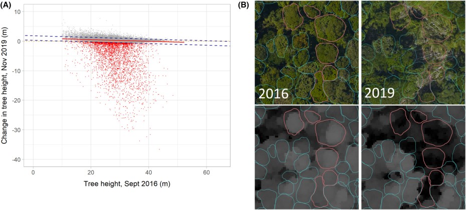 Accurate delineation of individual tree crowns in tropical forests from aerial RGB imagery using Mask R-CNN